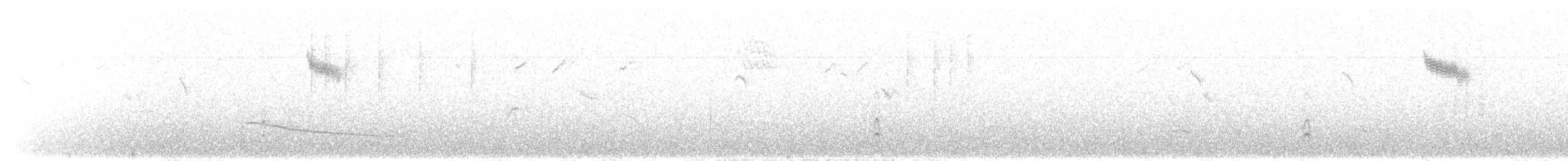 ワキアカツグミ - ML530206201