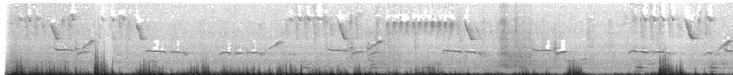 Тиранчик-тонкодзьоб південний - ML530227411