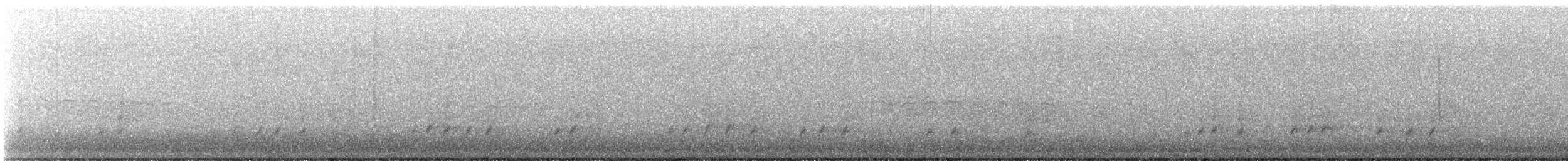 Поплітник каролінський - ML530227891