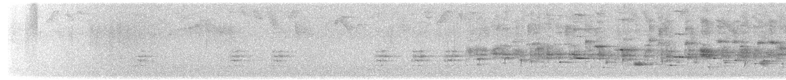 クリセヒトリツグミ - ML530235851
