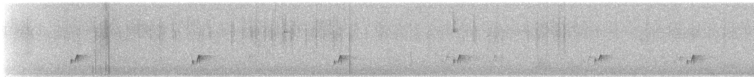 Серый шелкохвост - ML530236591