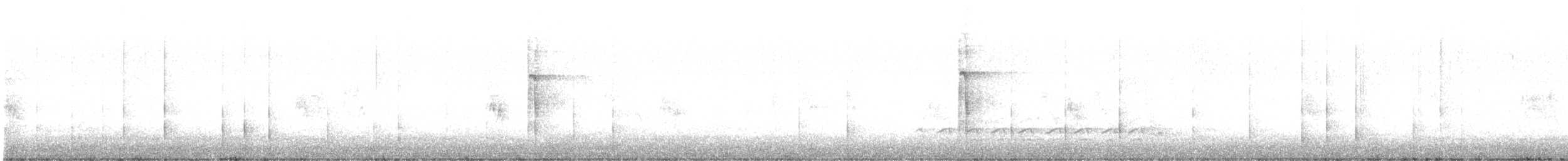 Hairy Woodpecker - ML530252111