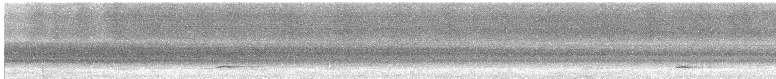 Siffleur roux - ML530285841