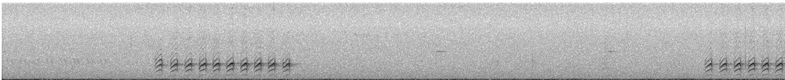 White-breasted Nuthatch - ML530303571