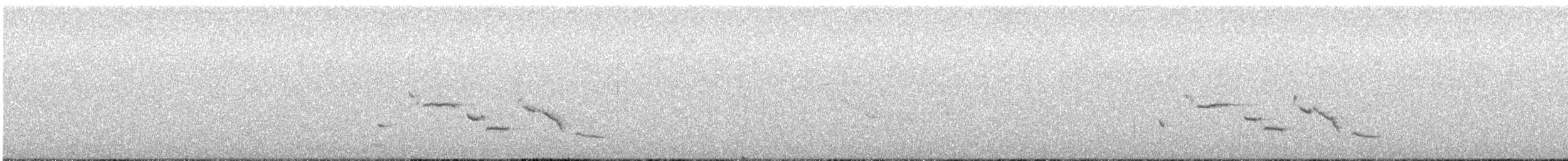 Chihuahuan Meadowlark - ML530303611