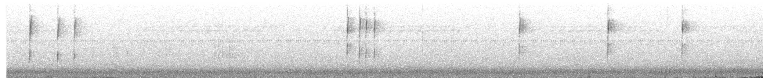 blåhodeviftestjert - ML530310521