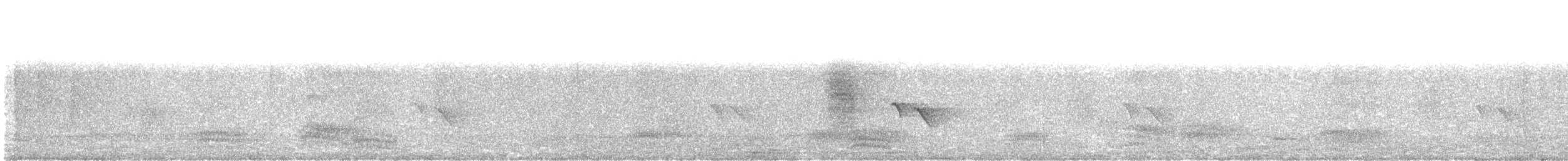 drongo černý - ML530370941