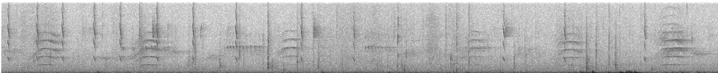 Kara Boğazlı Kolibri - ML530409321
