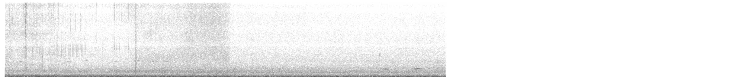 Sarcelle d'hiver (carolinensis) - ML530429091