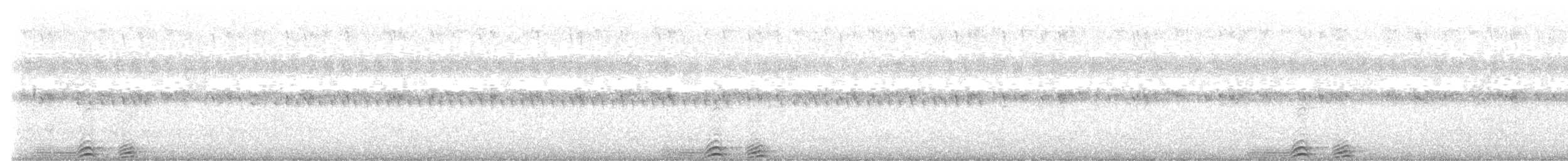 Сова-голконіг плямиста - ML530439431