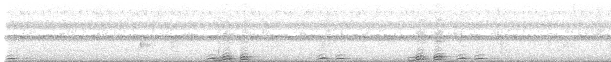 Сова-голконіг плямиста - ML530439441