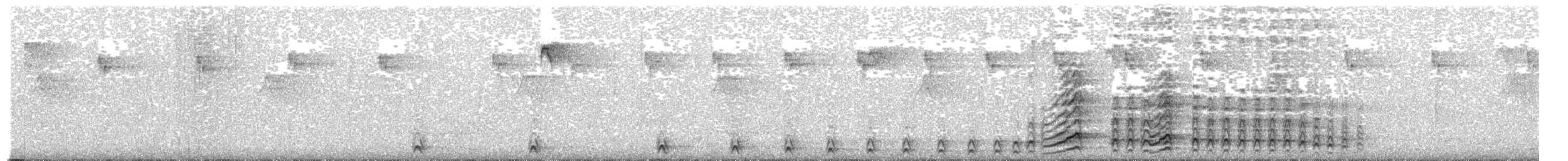 Malabar Gray Hornbill - ML530457201