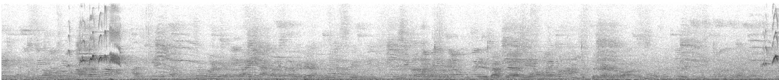 Giant Kingbird - ML530461981