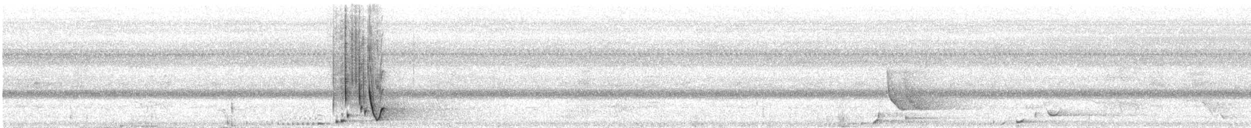 セアカオオツリスドリ - ML530475121