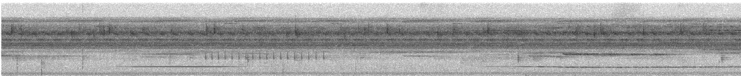 Variegated Tinamou - ML530475181