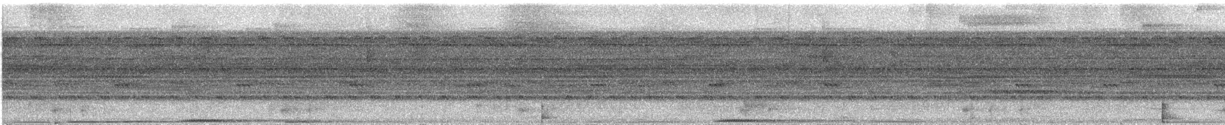 Paují Nocturno - ML530476241