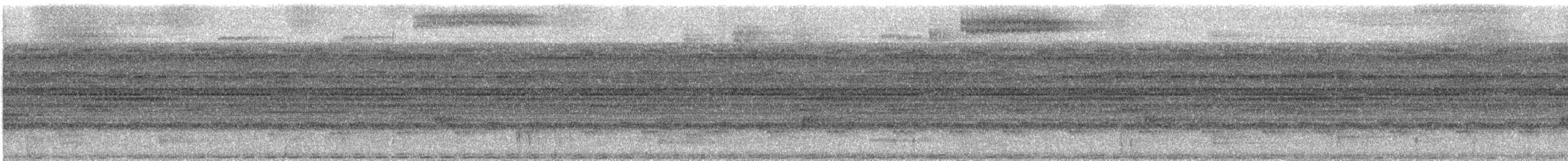 gråvingetrompetfugl - ML530476381
