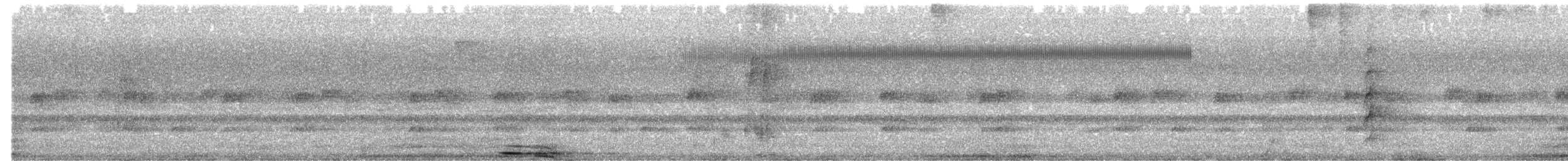 Zigzag Heron - ML530490061