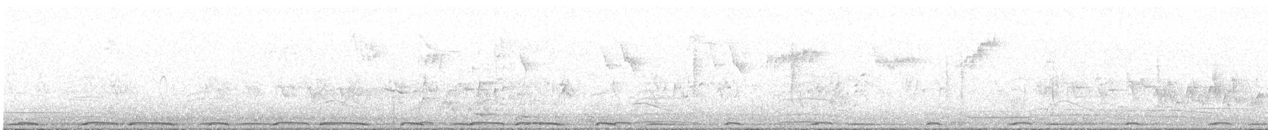 tyrkerdue - ML530502911