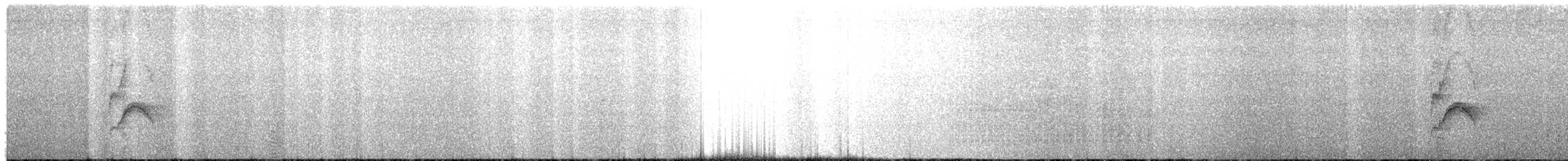 Тиранчик-короткодзьоб амазонійський - ML530503311