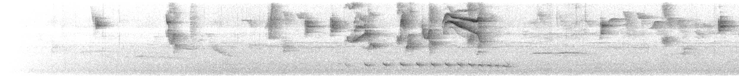 White-naped Brushfinch - ML530536831