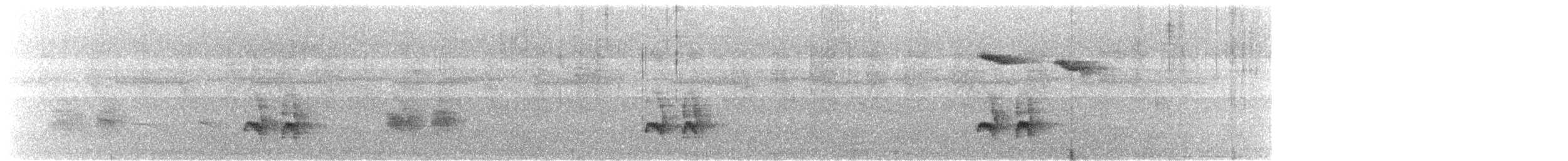 Plain Antvireo - ML530541091