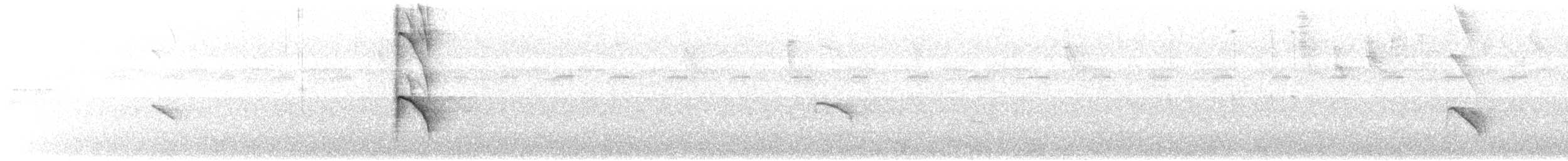 White-capped Tanager - ML530544881