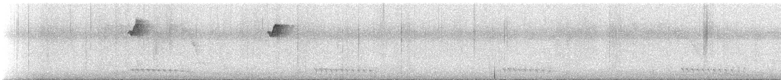 Карликовый колибри-отшельник - ML530586971