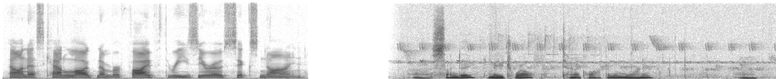 Бюльбюль-бородань сіроголовий - ML53069