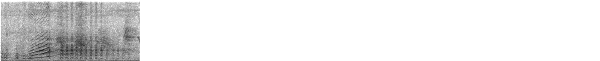 Malabar Gray Hornbill - ML530697681