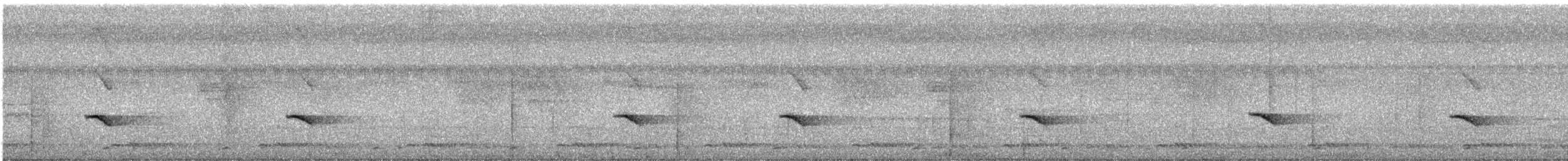 Rusty-tailed Flycatcher - ML530710231