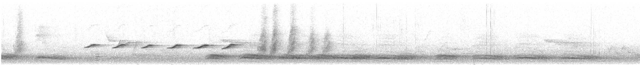 White-bellied Sholakili - ML530721931