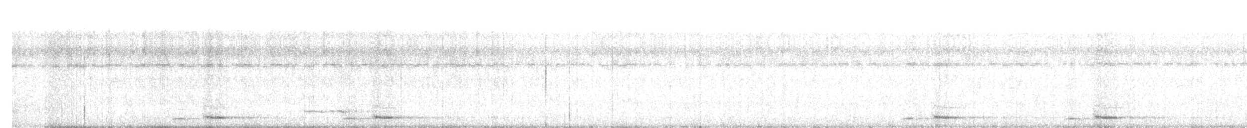 Barbu rayé - ML530751251