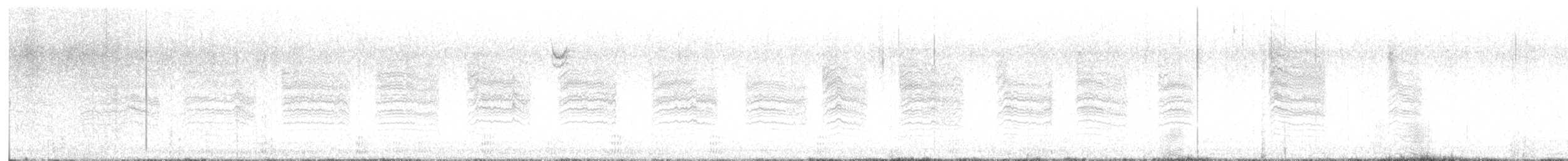 Phénopèple luisant - ML530755641