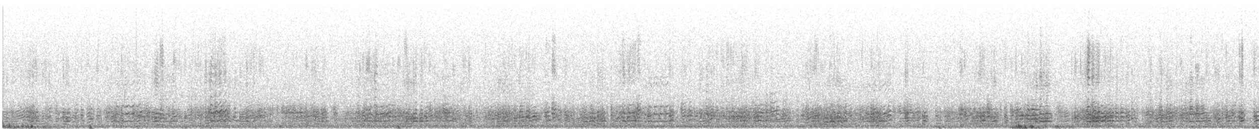 berneška tmavá (ssp. hrota) - ML530824731