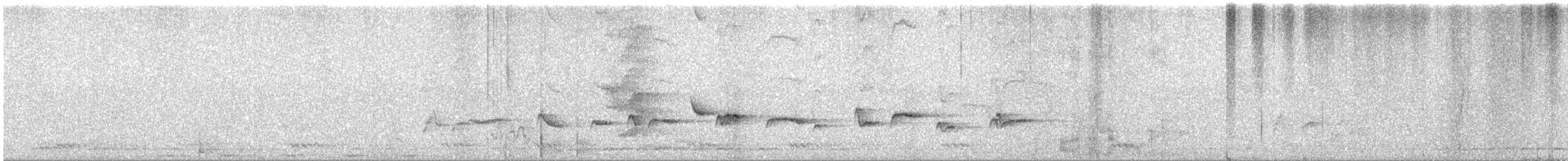 Papamoscas de Los Nilgiri - ML530824801