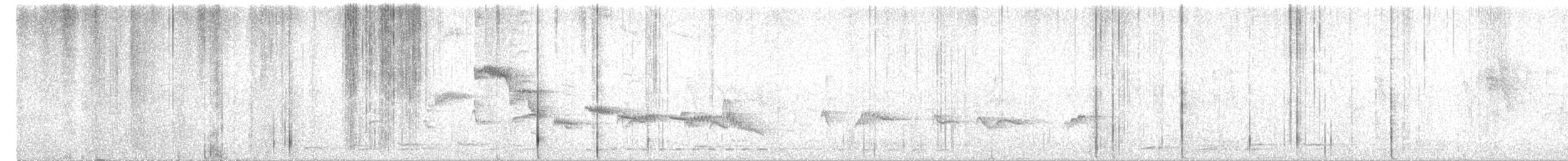 White-bellied Sholakili - ML530824811