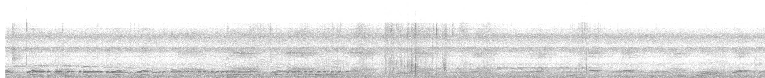 白腹秧雞 - ML530828571