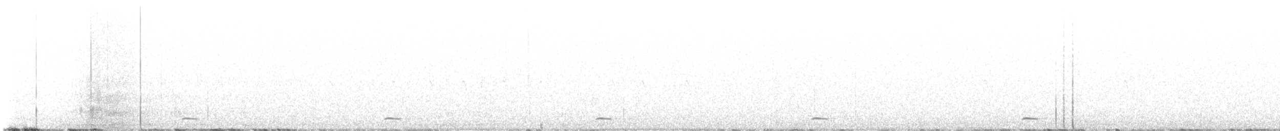 Chevêchette naine - ML530840341