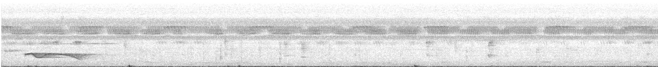 Great Eared-Nightjar - ML530854221