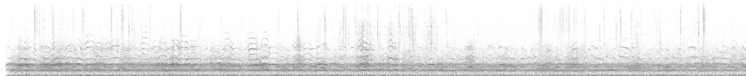 Snow Goose - ML530862311