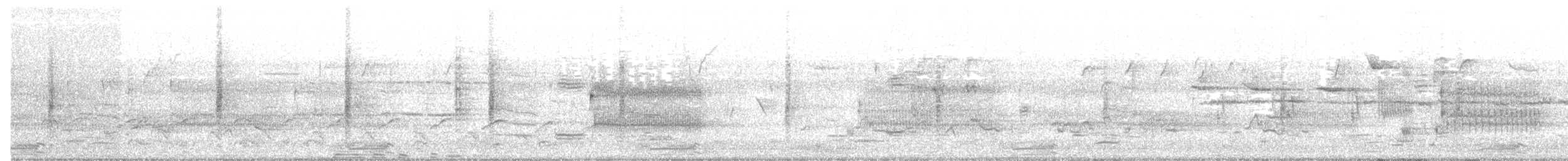 White-throated Sparrow - ML53087231