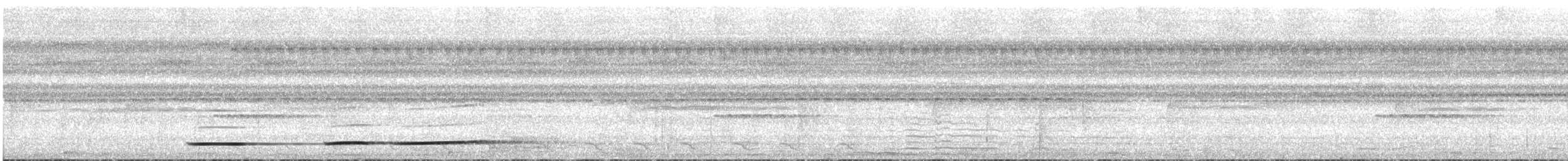 Undulated Tinamou - ML530931361