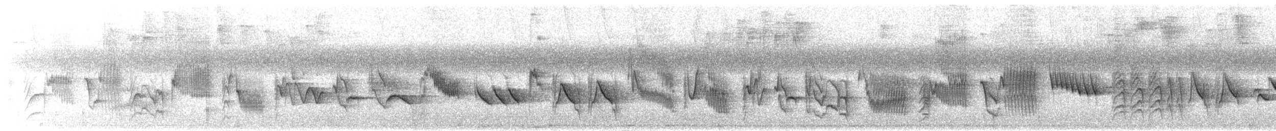 Thick-billed Seed-Finch - ML530956311