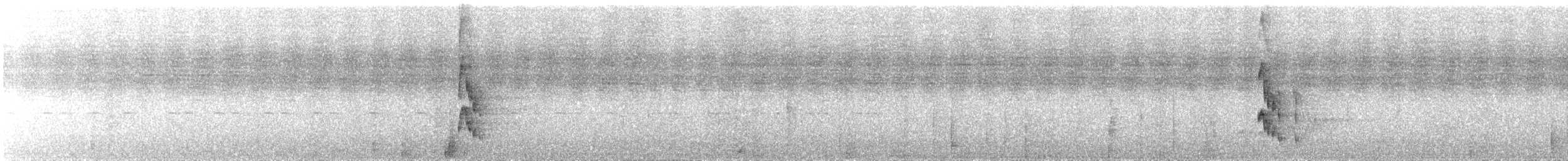 Golden-collared Manakin - ML530956391