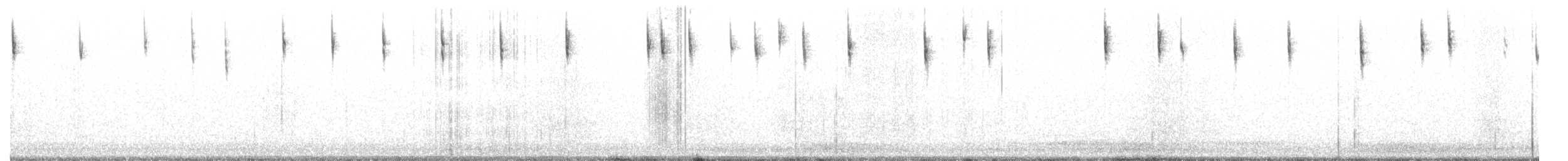 Savannah Serçesi [sandwichensis grubu] - ML530959351