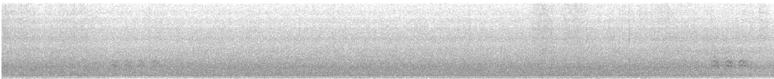 Sittelle à poitrine blanche (groupe lagunae) - ML530966391