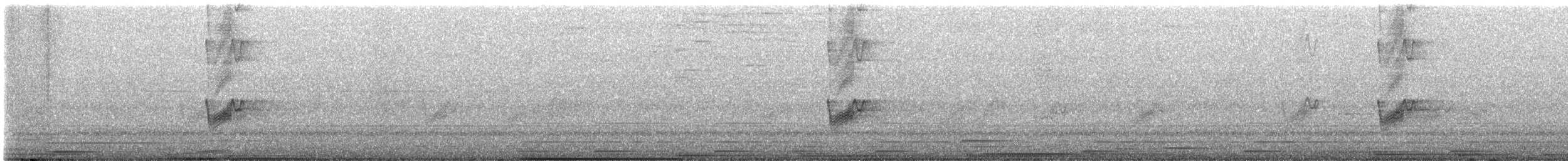 Savannennachtschwalbe - ML531018111