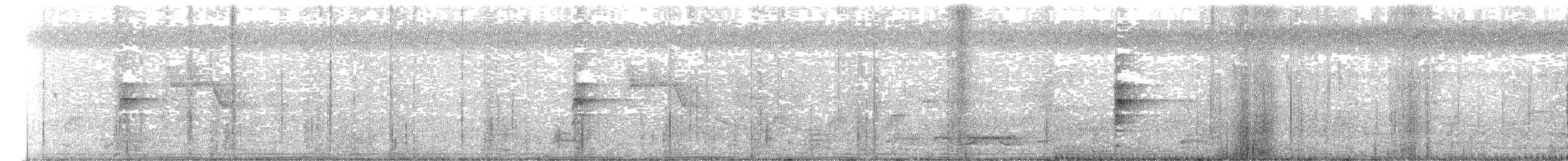 灰胸秧雞 - ML531030871