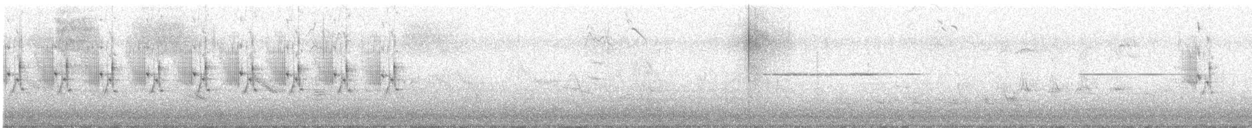 Graceful Prinia - ML531068601